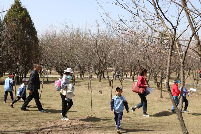 崆峒区世纪花园幼儿园大班级户外《快乐必一运动官方寻宝》《趣味拍照(图2)