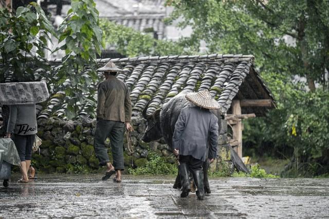 49岁丈母娘约必一运动官方网站35岁女婿去爬山到了山上才发现丈母娘另有所图(图3)