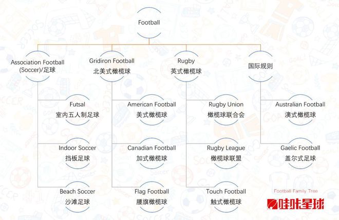 从Soccer说起必一运动这十几种运动竟然都叫Football!(图2)