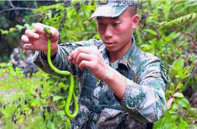 特种兵野外吃什么充饥？真实的“菜单”曝光军迷必一运动体育app下载安装直呼：我服(图4)