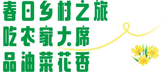 芜湖响水涧万亩金色花海开放！附游玩攻必一运动官网略(图4)