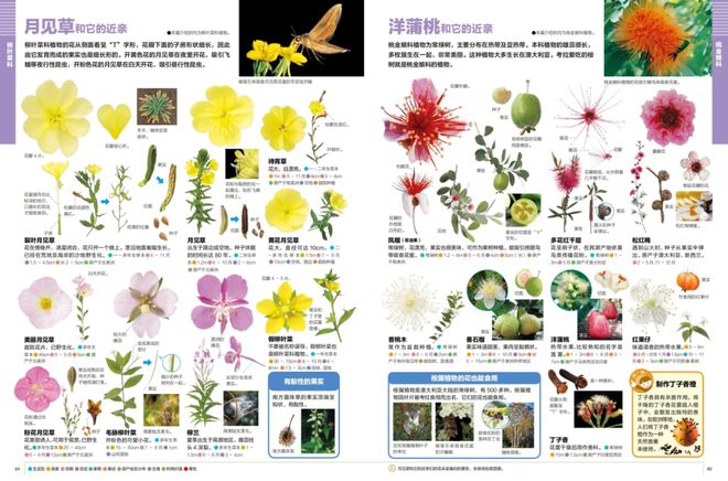 不玩手机时我培养了6个低成本爱必一运动官方网站好(图5)