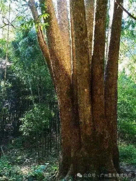 户外登山必看安全攻略！这必一运动官方些细节不容忽视！(图3)