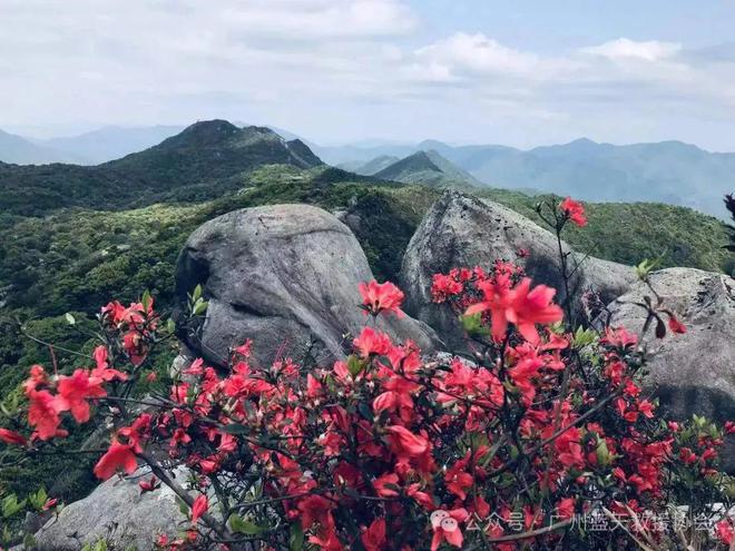 户外登山必看安全攻略！这必一运动官方些细节不容忽视！(图6)