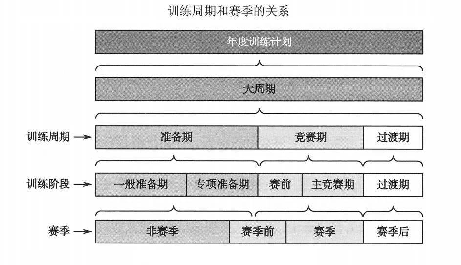 一文读懂必一运动儿童青少年体适能周期性训练计划制定方法(图3)