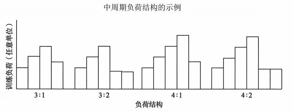 一文读懂必一运动儿童青少年体适能周期性训练计划制定方法(图5)