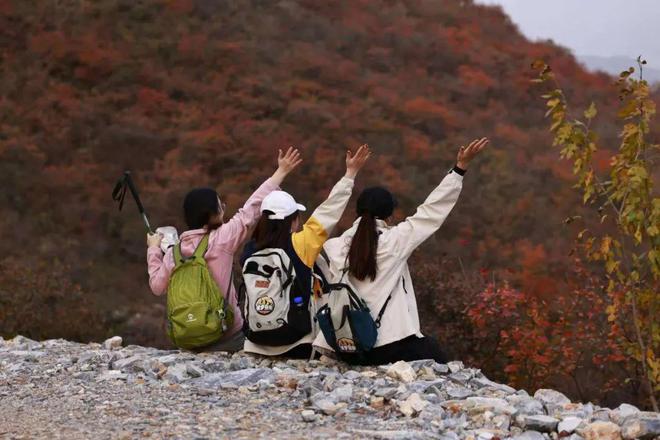 国产冲必一体育锋衣不必成为始祖鸟平替(图2)