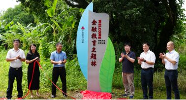 真情付出倾情奉献 广发银行惠州分行驻镇帮镇扶村干必一运动官网部“驻”入金融支持乡(图9)