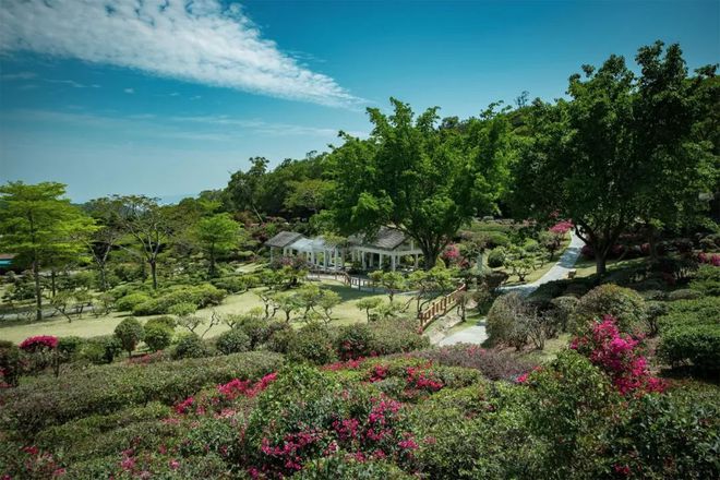 厦门 霸屏朋友圈高逼格野餐指南B体育→(图5)