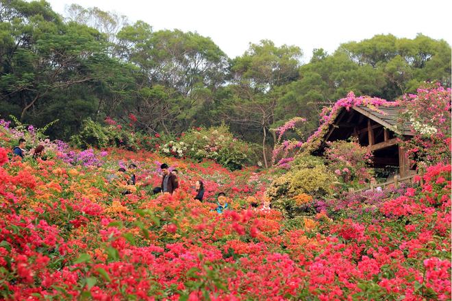 厦门 霸屏朋友圈高逼格野餐指南B体育→(图4)